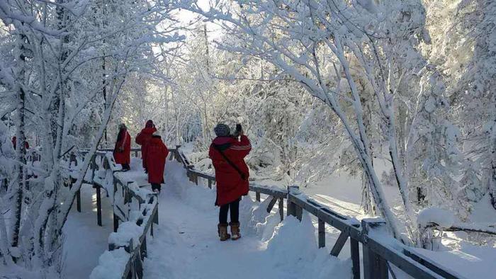 Wooden Walkway